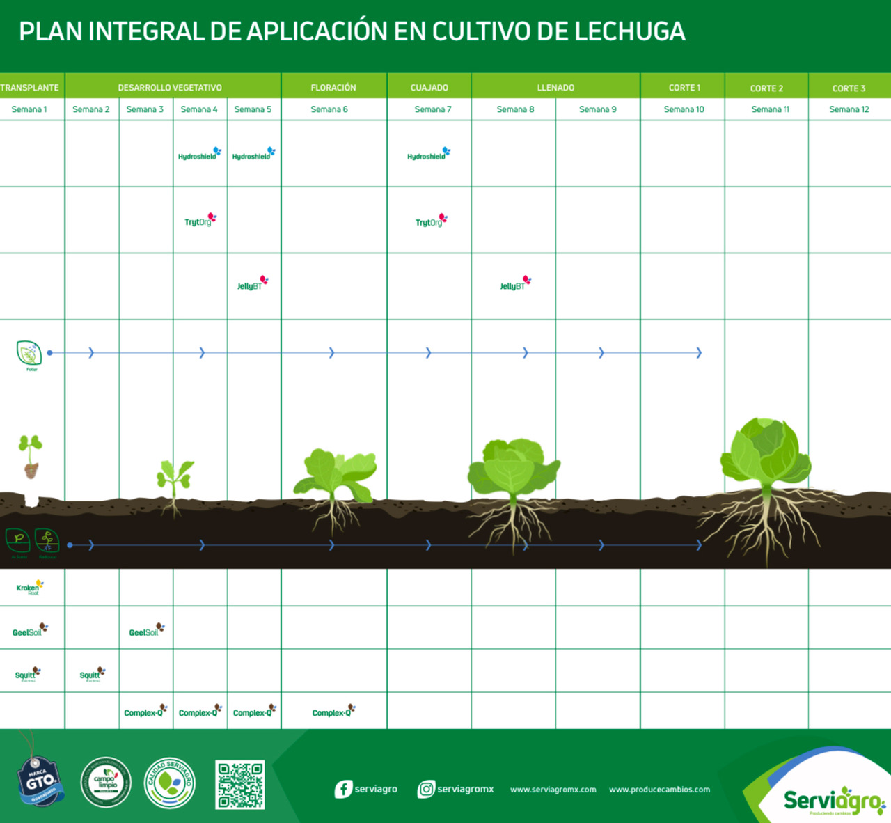 Programa de aplicación Lechuga