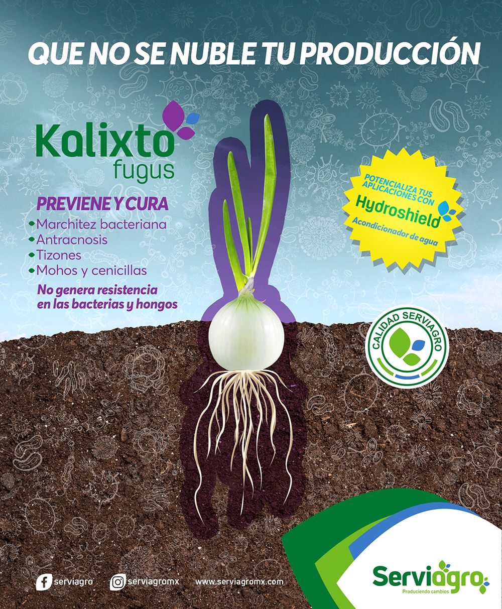 Folleto movil Kalixto