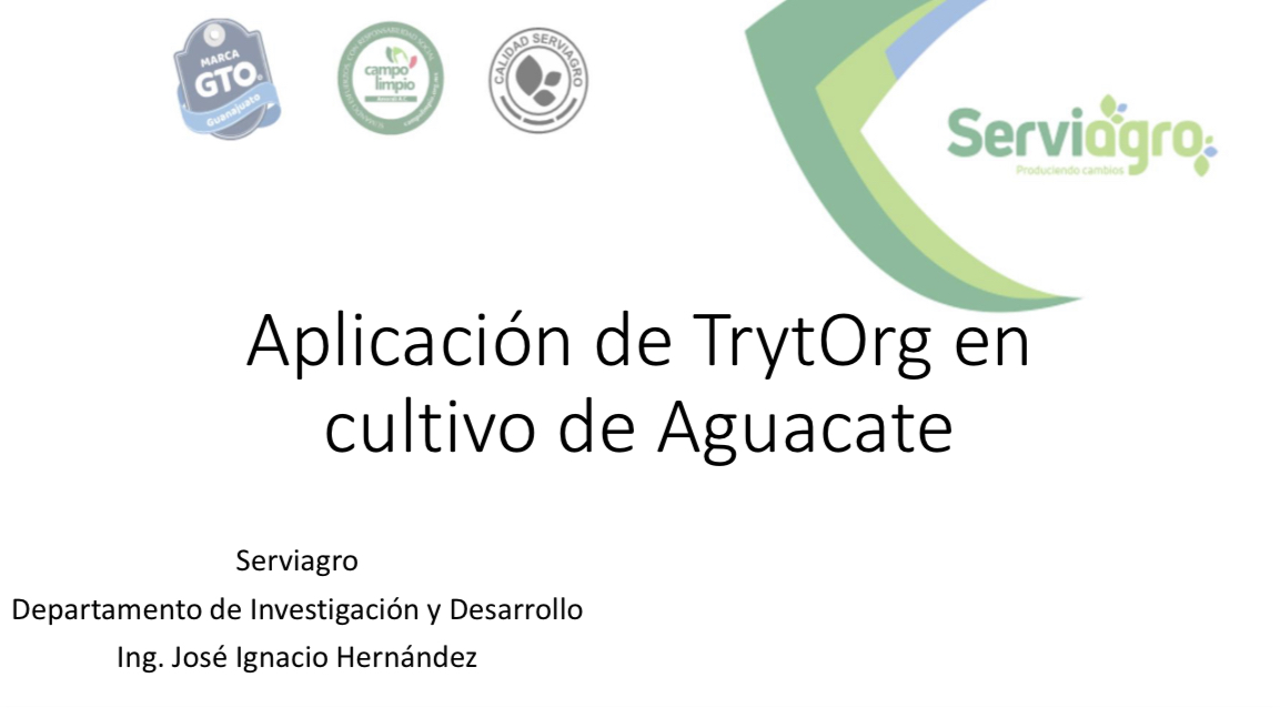 Aplicacion de TRYTORG en aguacate